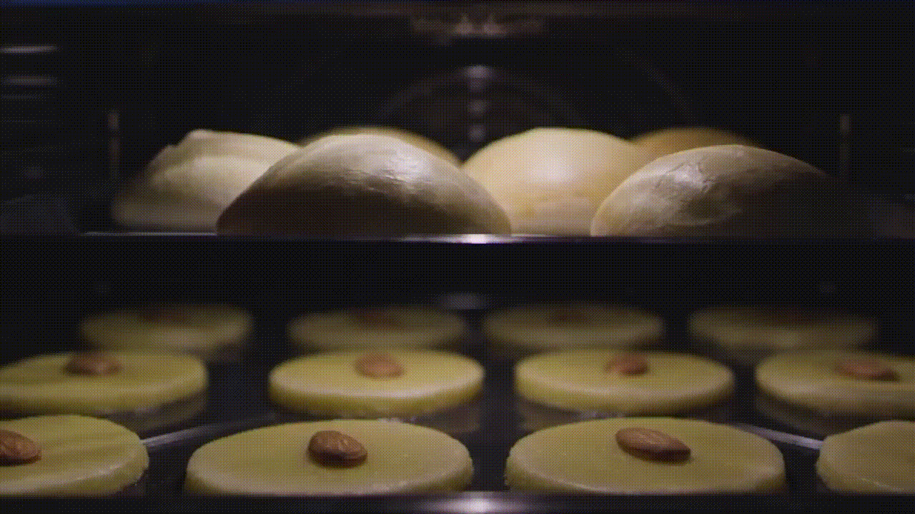 4.gif